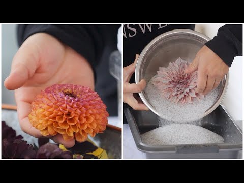 Drying Flowers with Silica GelCrystals + A Fun Way to Display Them! 💗🥰🌼 // Garden Answer