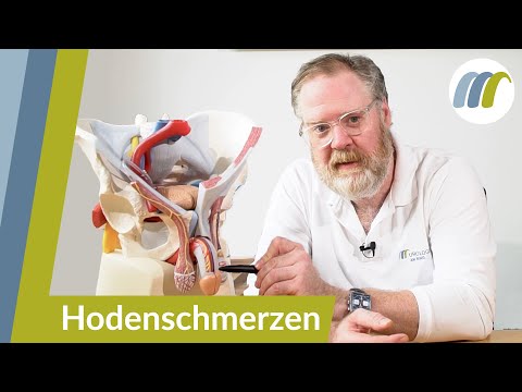Schmerzen in den Hoden oder der Leiste? - Das sind die häufigsten Ursachen | Urologie am Ring