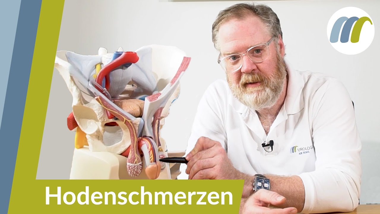 Schmerzen in den Hoden oder der Leiste - Das sind die häufigsten Ursachen | Urologie am Ring