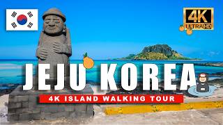 🇰🇷 South Korea, Jeju Island Walking Tour 🌴 Beach Walk and Green-Tea Fields | 4K HDR 60fps