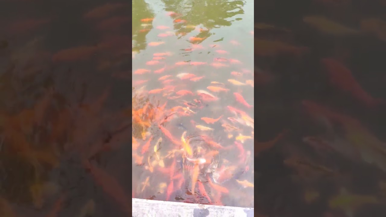 Best Moments of your life!!