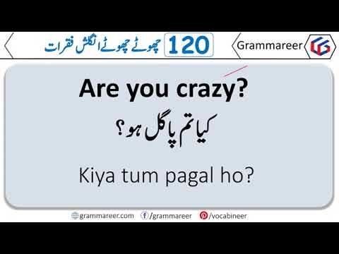 120 Daily Use English Speaking Practice Sentences with Urdu Translation   Grammareer360p