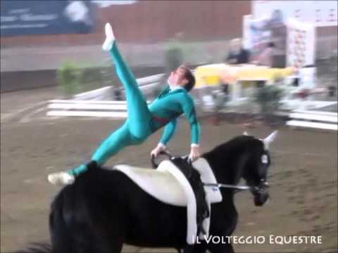 CVI Portogruaro 2016 - Volteggio - Ind 3* - 6° Oliver Spadinger [Technical]