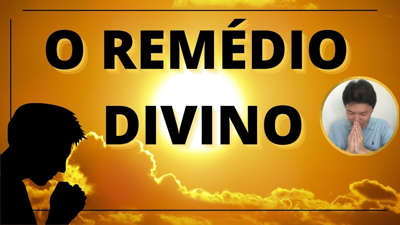 GRATIDÃO - O REMÉDIO DIVINO | Evoluir 14