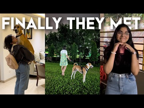 Meeting Panther after 2 months | Precious Reaction❤️✨| Vaibhavi Krishna