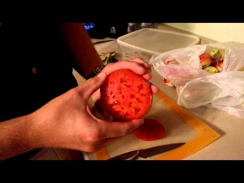 download lagu mp3 mp4 Super Sauce Tomato, download lagu Super Sauce Tomato gratis, unduh video klip Super Sauce Tomato