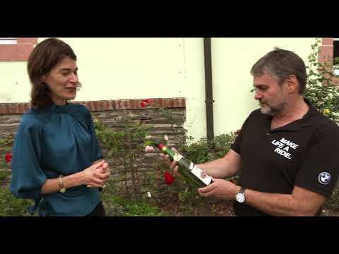 40 Jahre BMW GS – und die Geschichte geht weiter