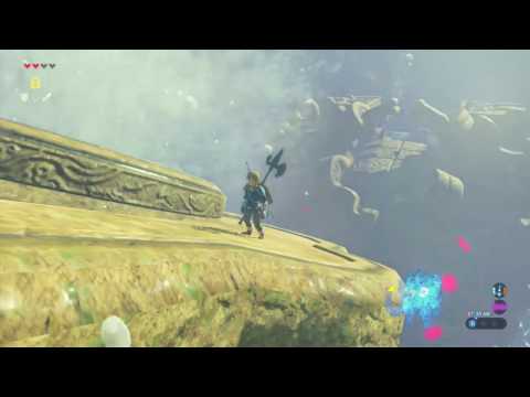 Zelda Breath of the Wild - Vah Ruta Dungeon Video Guide - All 5 Terminals + Waterblight Ganon fight