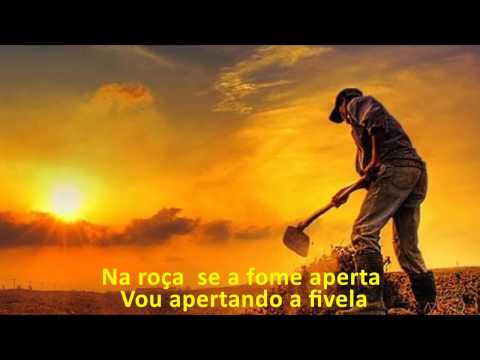 Franguinho Na Panela - Craveiro e Cravinho