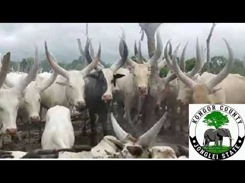 Manyang de Kongor in Juba - Ayieem Vol 2. Date: 31/12/2019.