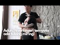 Aduh Nyeri Nyeri Ternyata Ada Tulang Miring MASTERJOETHERAPY