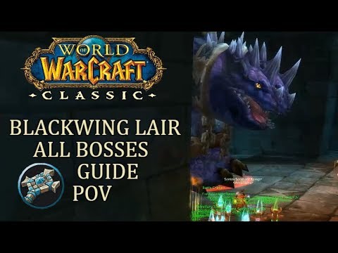 Blackwing Lair All Bosses (Priest Healer PoV) | WoW Classic Guide/Gameplay