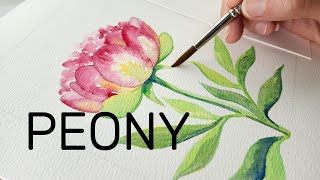 Watercolor Flowers | Peony | Beginner Friendly 😊 🌸