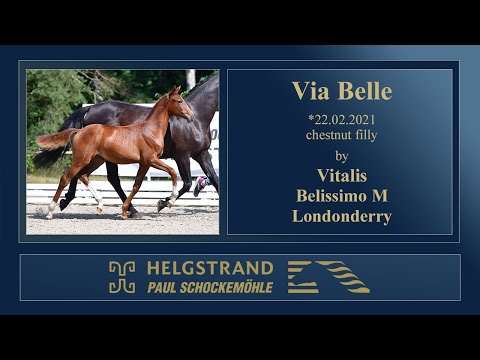 11 Via Belle by Vitalis - Belissimo M - Londonderry