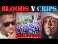 Bloods And Crips At WAR Again In LA