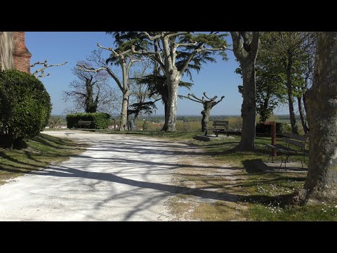 ☣️ #FONSORBES (31) • CONFINEMENT 3, JOUR 4 • 7 AVRIL 2021