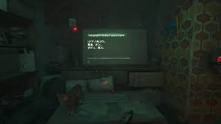 【Stray】やりたかった、念願の