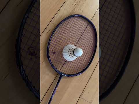 [SNS직원서포터즈]군위군 배드민턴협회 친선교류대회