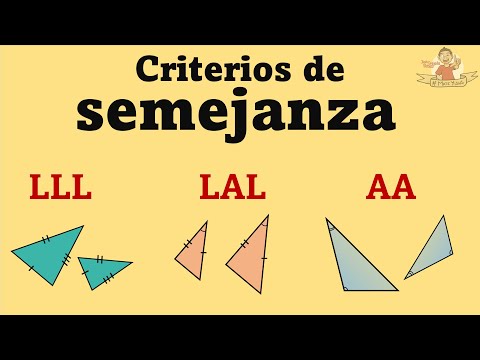 Similarity criteria for triangles. Everything you need to know
