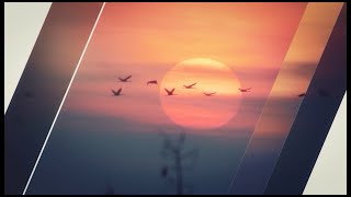 HÍREK A TERMÉSZETBŐL