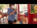 Exclusive Carousel Ride For Immunocompromised Boy In Palm Beach Gardens