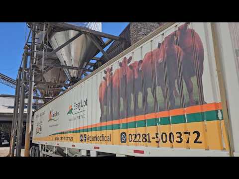 Ensayo Los Corrales EasyLot Control – capítulo 3/4