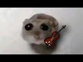 Sad Hamster Meme Violin 1 HOUR