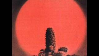 cactus- parchman farm 1970