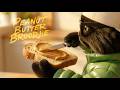 DieSwartKat Peanut Butter Broodjie Amptelike Musiekvideo