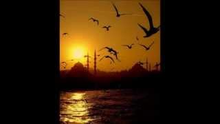 The Tea Party - The Halcyon Days