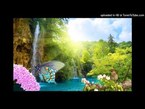 Today's Tango Is... Mi Ambición - Alfredo De Angelis 19-05-1954