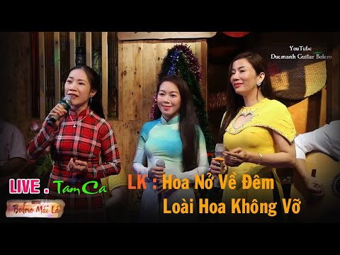 Liên khúc : Hoa Nở Về Đêm & Loài Hoa Không Vỡ | Tam ca Thu Hương - Phương Ngọc - Yên Thảo Bolero