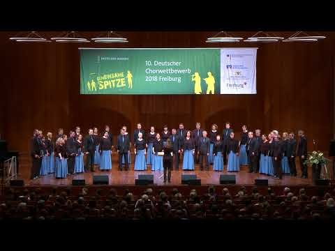 10. DCW-Preisträgerkonzert IV: via-nova-chor München (Mai 2018)