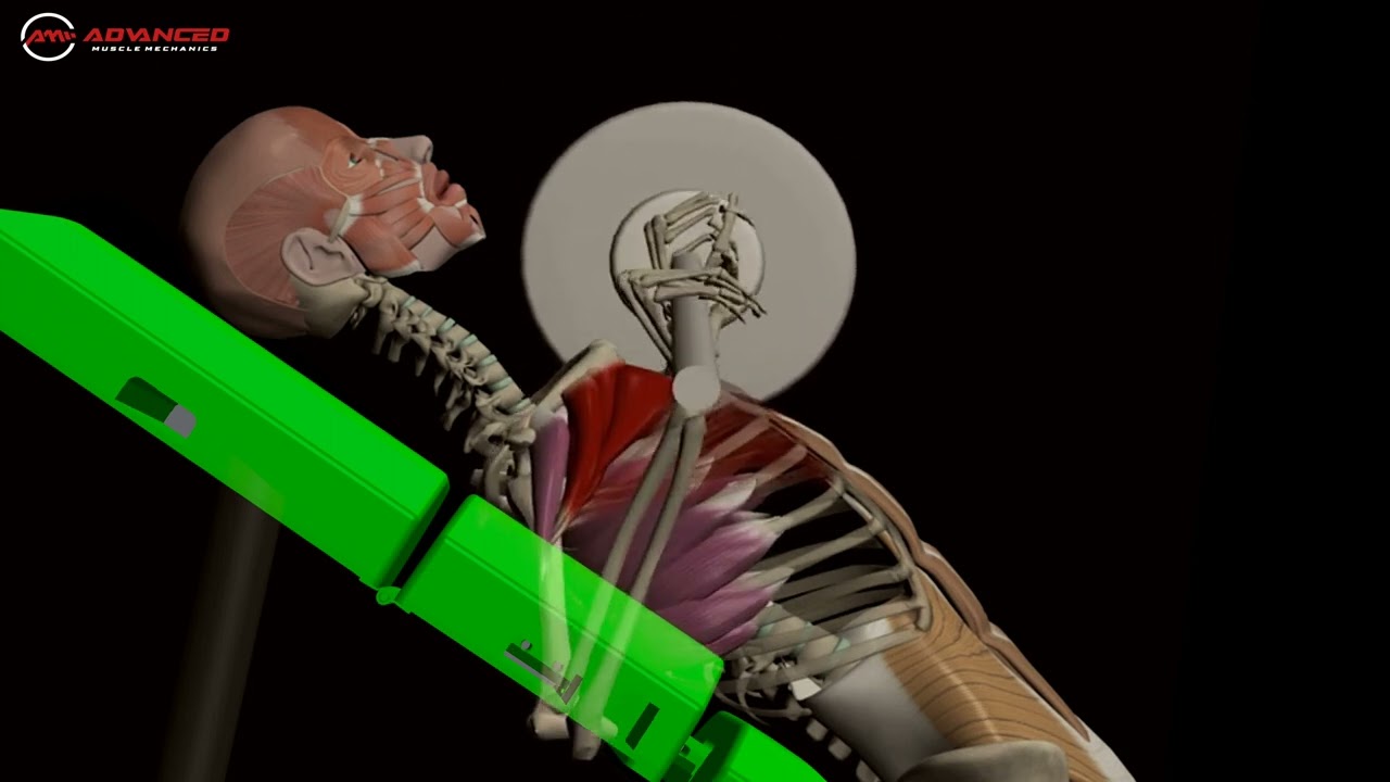 Build A Well-Defined, Strong Chest With The Launch Pad! 🚀