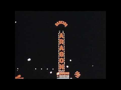 Vintage Neon Signs 1940's Chicago