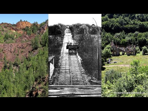 Mina Ghelari, trecut și prezent