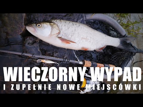 Wieczorny wypad i zupełnie nowe miejscówki | lekki, rzeczny spinning końcem czerwca