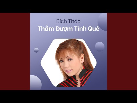 Con đường tình phai - Bích Thảo