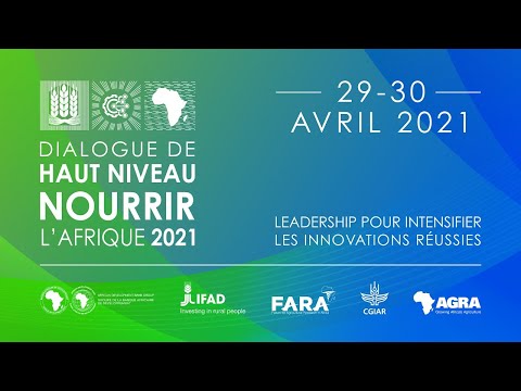 Frontier Africa Reports