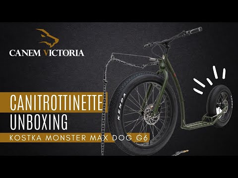 Montage Trottinette FAT Kostka Monster Max dog g6