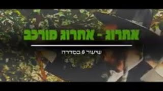 הרב מנחם מנדל פומרנץ | סדרת שיעורי ארבעת המינים - שיעור ח' • אתרוג - אתרוג מורכב •
