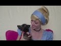 Dog Sings With Cinderella Blooper Video