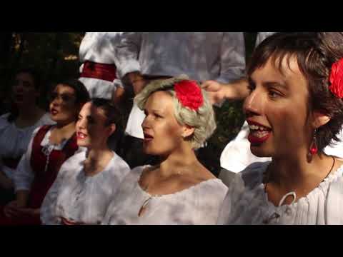 Хор слависта - Преле су преље