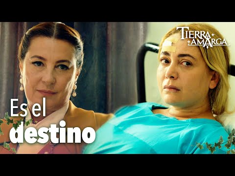 ¿Cambiará Şermin su declaración? - Capítulo 132