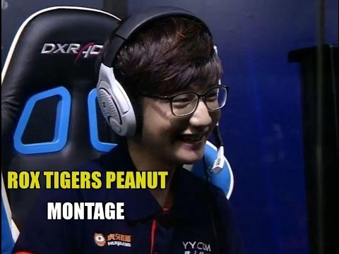 ROX Tigers Peanut Montage