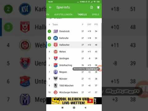 VfR Aalen gegen Halleschen FC 0:1