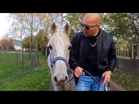 Bordalajn - WIEŚNIAK