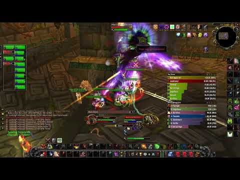 WoW TBC Classic arms warrior pve Zul' Aman Hex Lord Malacrass kill 6
