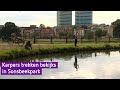 Karpers trekken bekijks in Sonsbeekpark