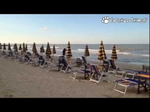 Camping Villaggio Gilda - (TE)